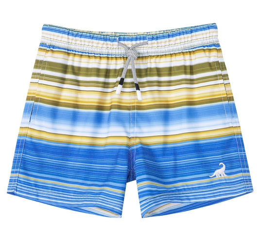 SURF CUZ Surfcuz Little Boys Swim Trunks UPF 50+ Toddler Beach Shorts Swimsuit Kids Quick Dry Swimwear(Wave Beach 12)